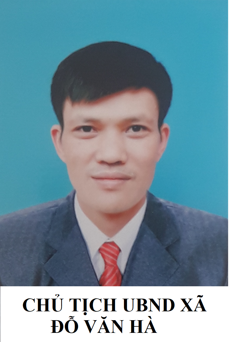 Chủ tịch UBND