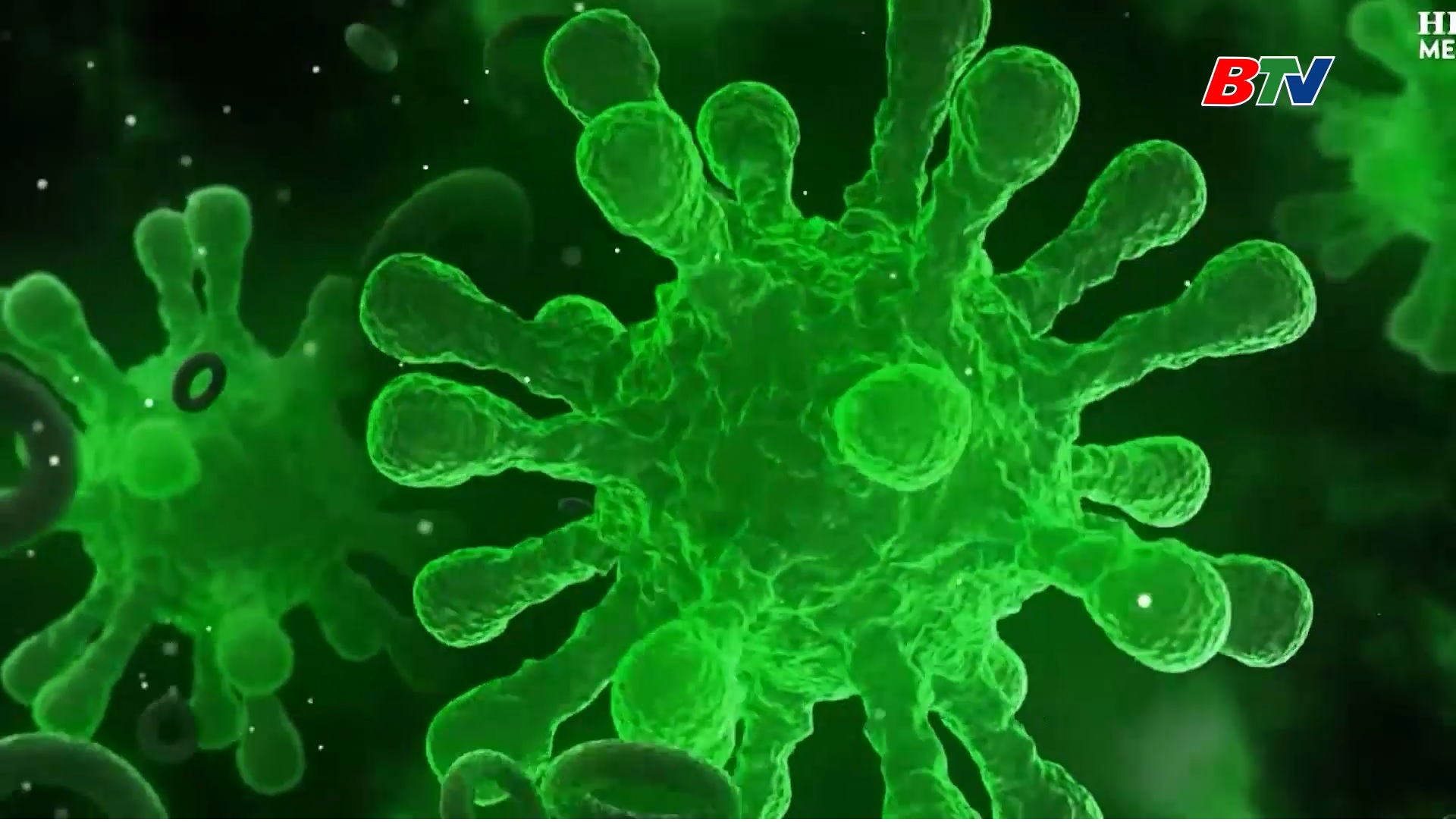 Nhận thức đúng về Virus Hanta