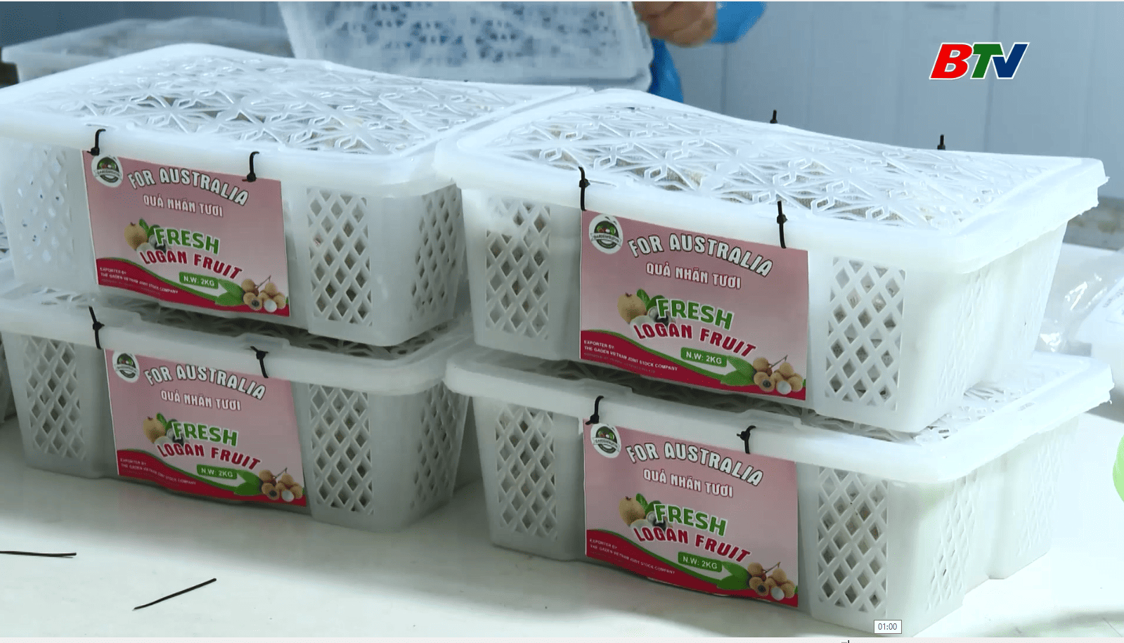Gần 10 tấn nhãn xuất khẩu vào thị trường Australia.mp4