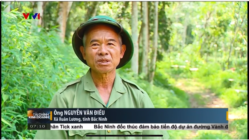 Phát triển rừng gỗ lớn nâng tầm chuỗi giá trị rừng trồng.mp4