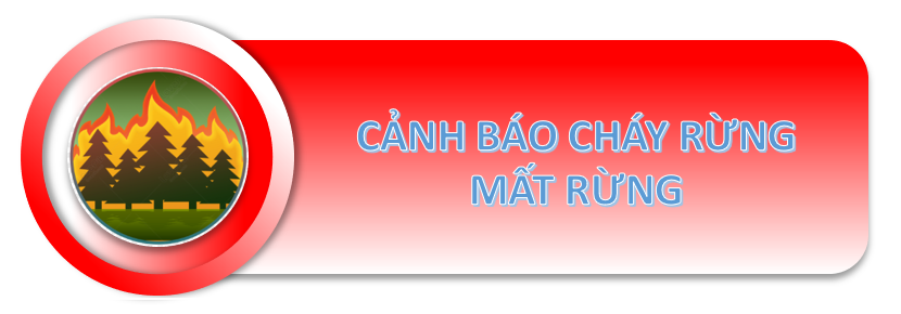 cháy rừng.png