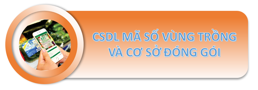 mã số vùng trồng.png