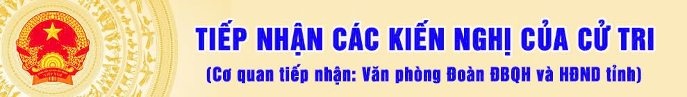 Tiếp nhận Hỏi đáp-Đoàn ĐBQH