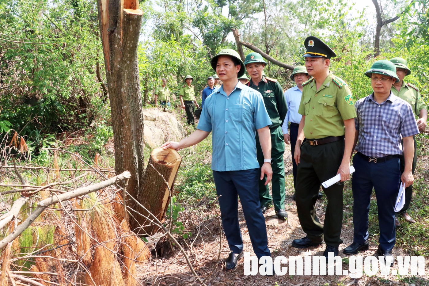 Chủ tịch UBND tỉnh chỉ đạo khẩn trương thu dọn, xử lý các cây rừng bị gãy đổ do bão số 3 gây ra để phòng cháy rừng mùa hanh khô