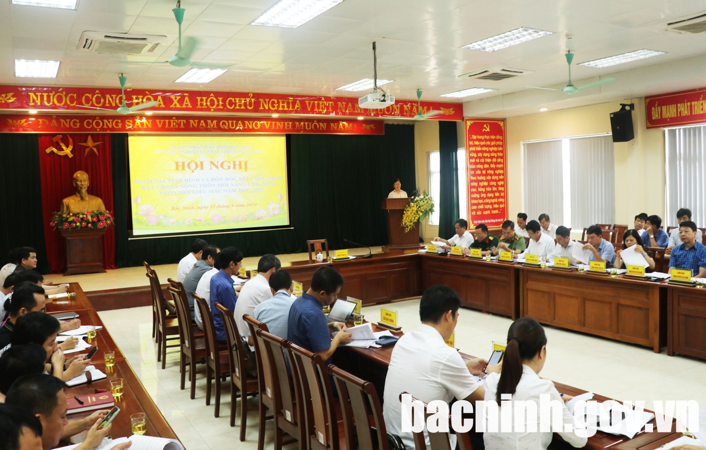 Đánh giá tình hình xây dựng nông thôn mới nâng cao, nông thôn mới kiểu mẫu năm 2024 - 2025