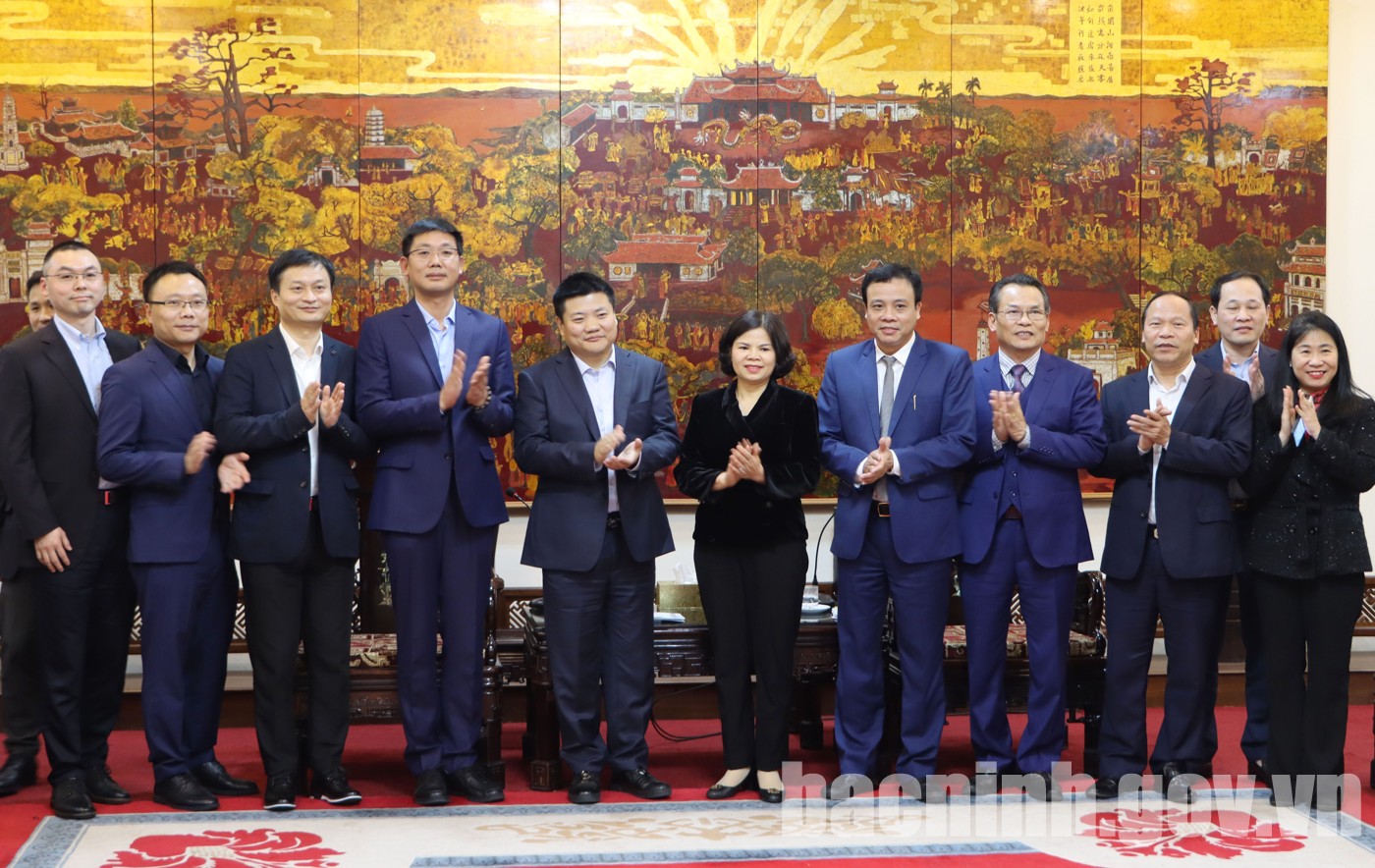 Chủ tịch UBND tỉnh Nguyễn Hương Giang làm việc với Tập đoàn DSBJ