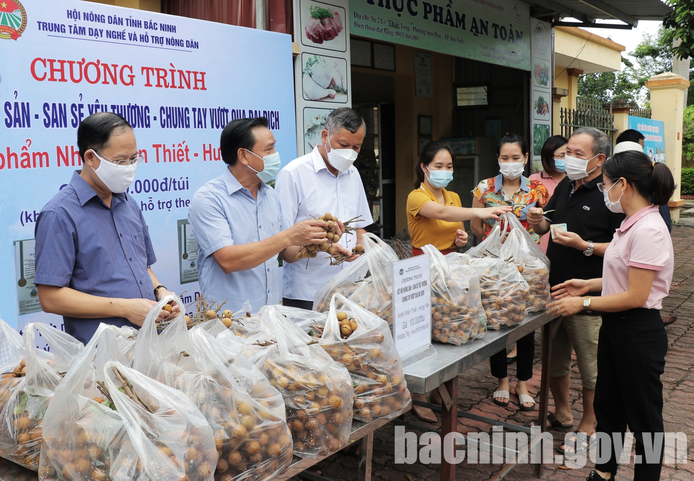 Hỗ trợ tiêu thụ sản phẩm nhãn Miền Thiết, huyện Khoái Châu, tỉnh Hưng Yên