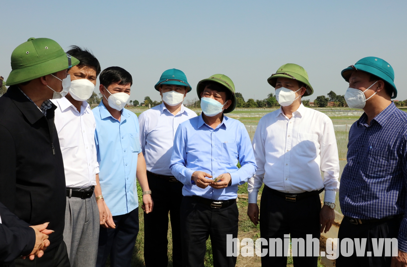Lãnh đạo tỉnh kiểm tra sản xuất nông nghiệp tại huyện Lương Tài