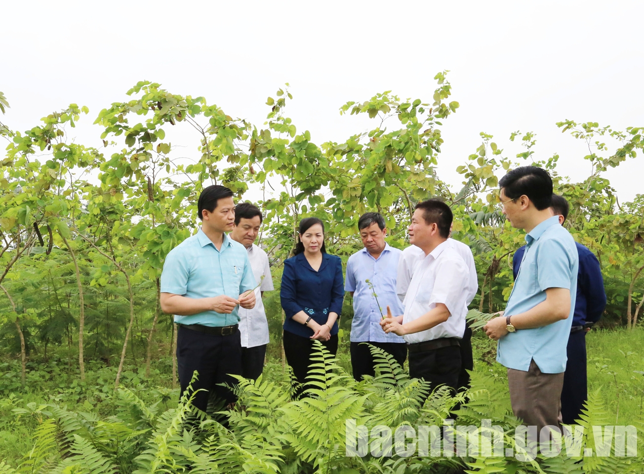 Phó Chủ tịch Thường trực UBND tỉnh Vương Quốc Tuấn thăm, khảo sát hoạt động một số trang trại tại huyện Gia Bình