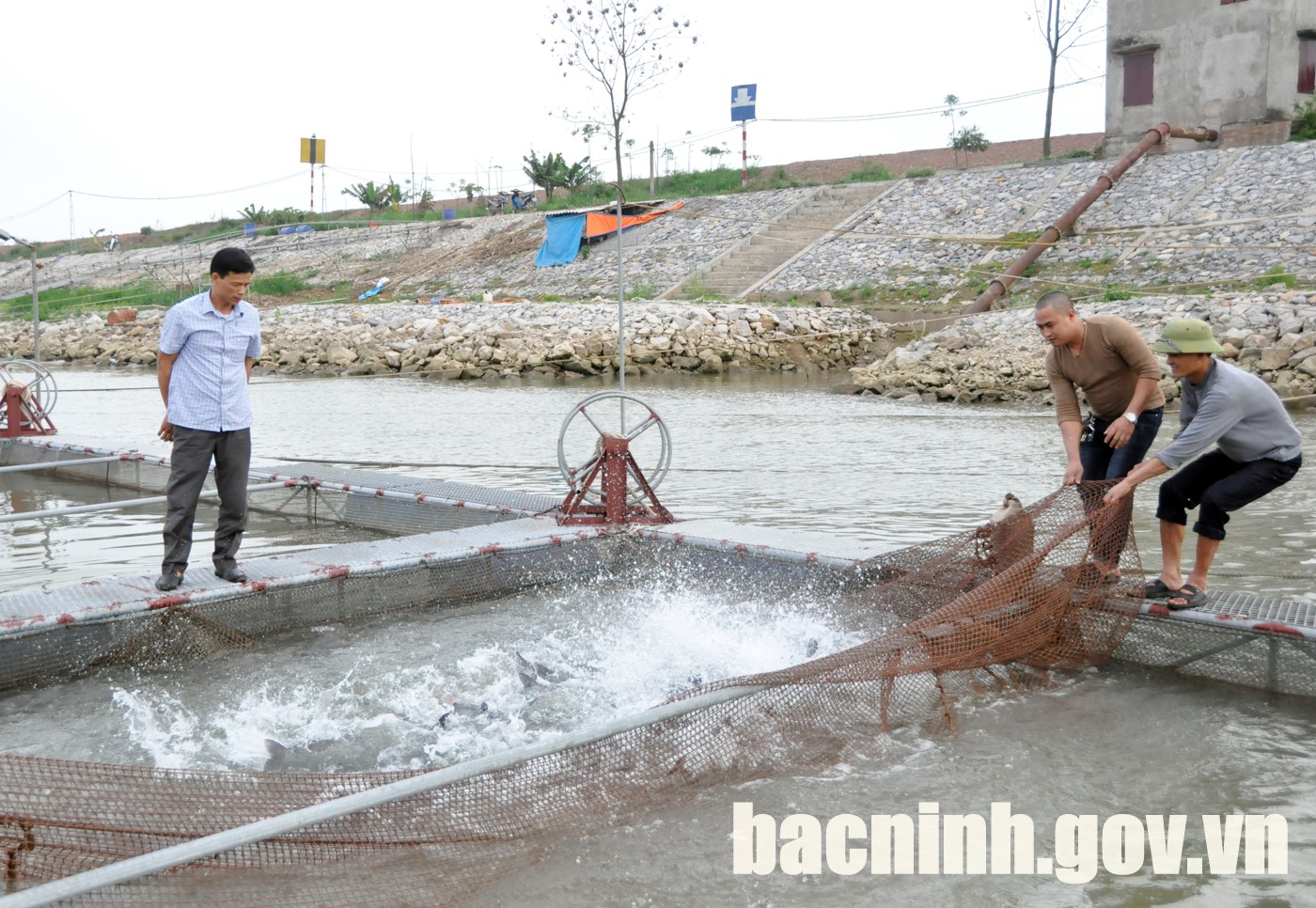 73 số hợp tác xã cả nước đang hoạt động hiệu quả