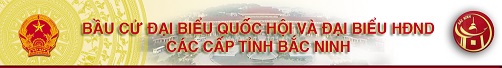 banner bầu cử