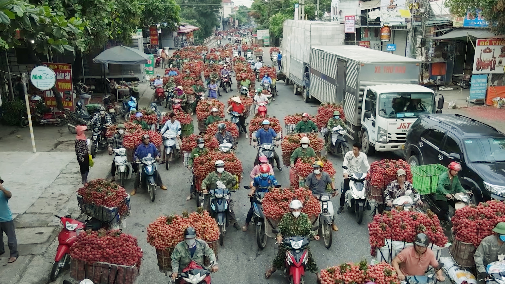 Vải thiều Bắc Ninh - Từ trái ngọt quê nhà đến thị trường toàn cầu