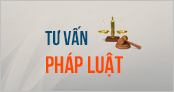 tư vấn pháp luật.jpg