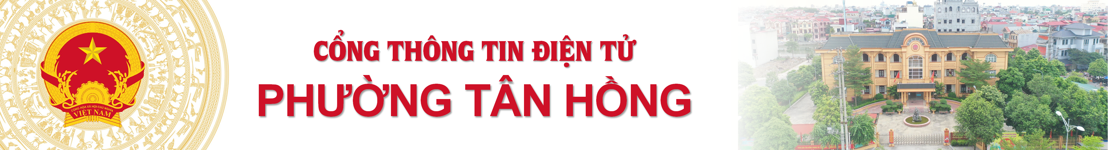 Ảnh đại diện Tân Hồng.bmp